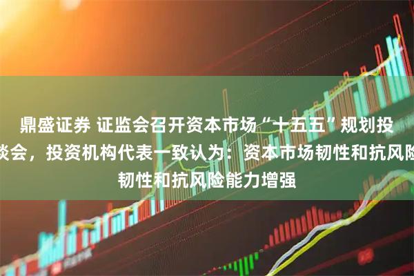 鼎盛证券 证监会召开资本市场“十五五”规划投资机构座谈会，投资机构代表一致认为：资本市场韧性和抗风险能力增强