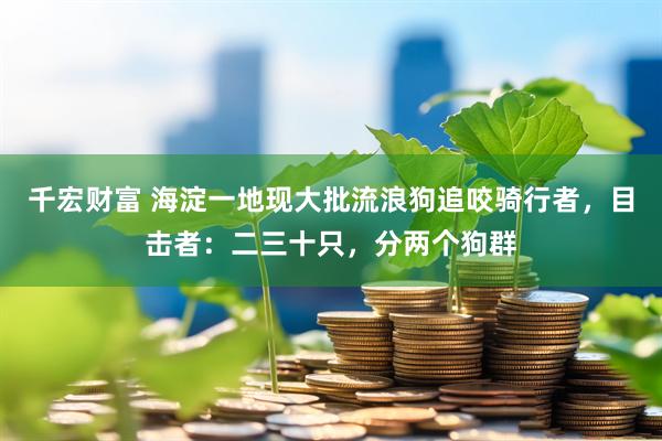 千宏财富 海淀一地现大批流浪狗追咬骑行者，目击者：二三十只，分两个狗群