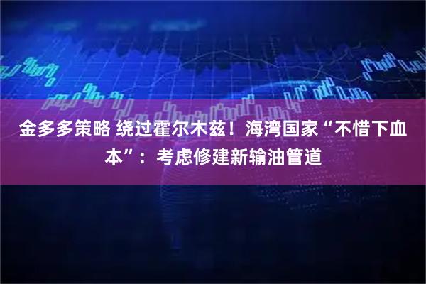 金多多策略 绕过霍尔木兹！海湾国家“不惜下血本”：考虑修建新输油管道