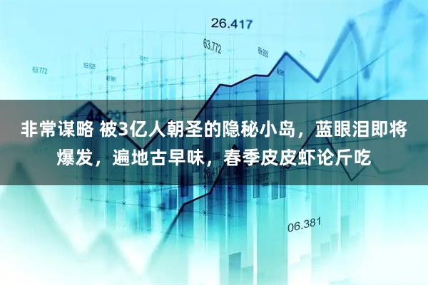 非常谋略 被3亿人朝圣的隐秘小岛，蓝眼泪即将爆发，遍地古早味，春季皮皮虾论斤吃