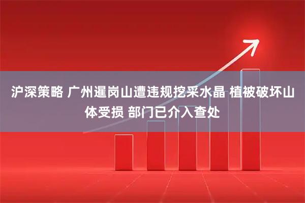 沪深策略 广州暹岗山遭违规挖采水晶 植被破坏山体受损 部门已介入查处