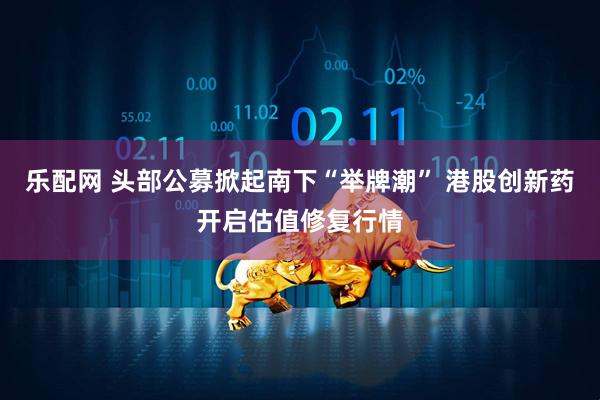 乐配网 头部公募掀起南下“举牌潮” 港股创新药开启估值修复行情